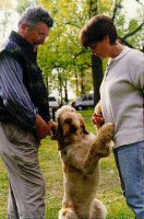 Guido, Brutis & Denise