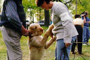 Guido, Brutis & Denise