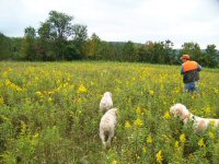 Angie on Point, Cosmo & Winston backing