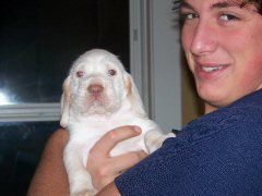 Otello x CH Illumination del Subasio