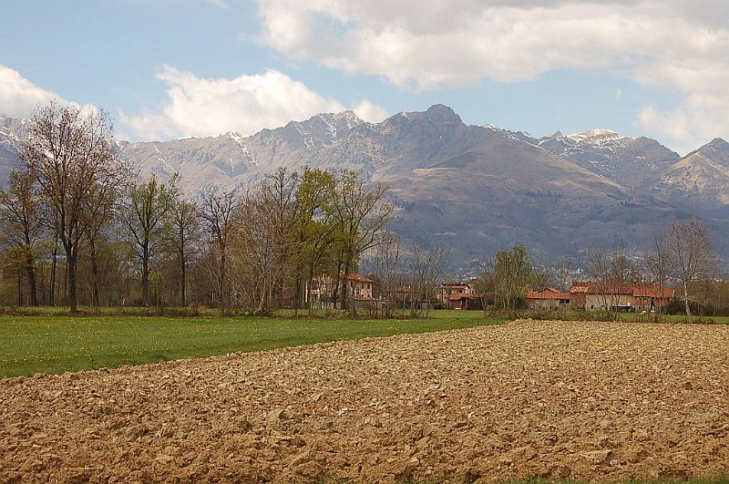 DSC_4425.JPG