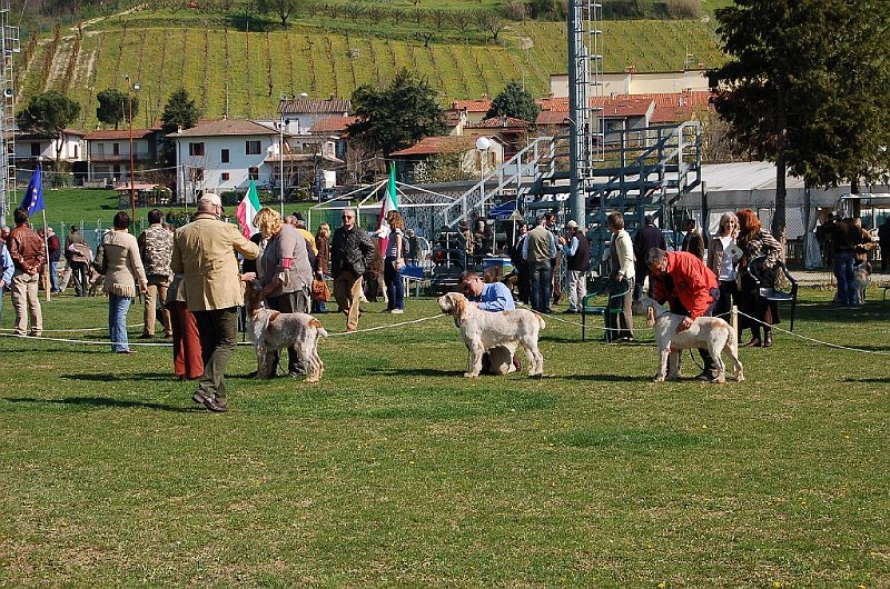 DSC_4663.JPG