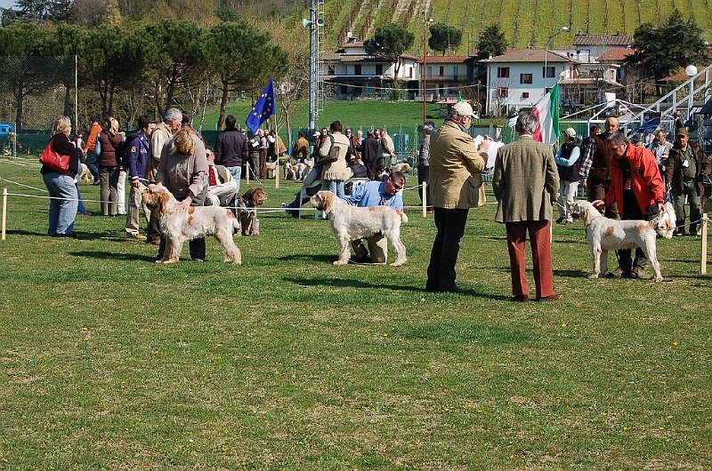 DSC_4672.JPG