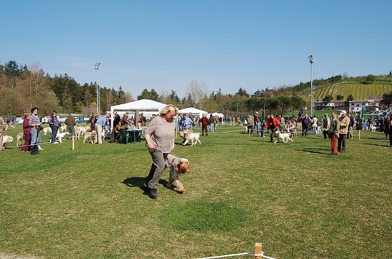 DSC_4674.JPG