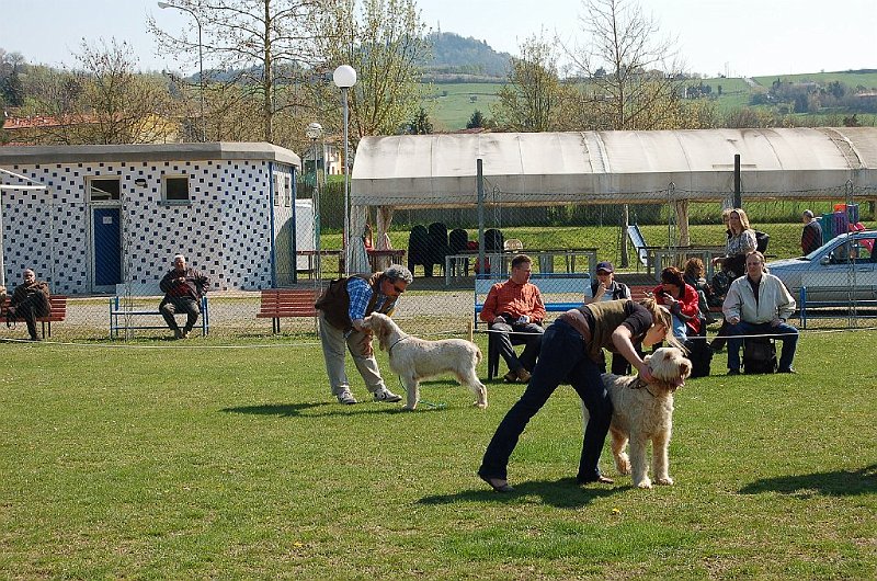 DSC_4679.JPG