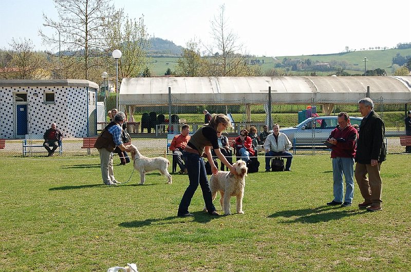 DSC_4680.JPG
