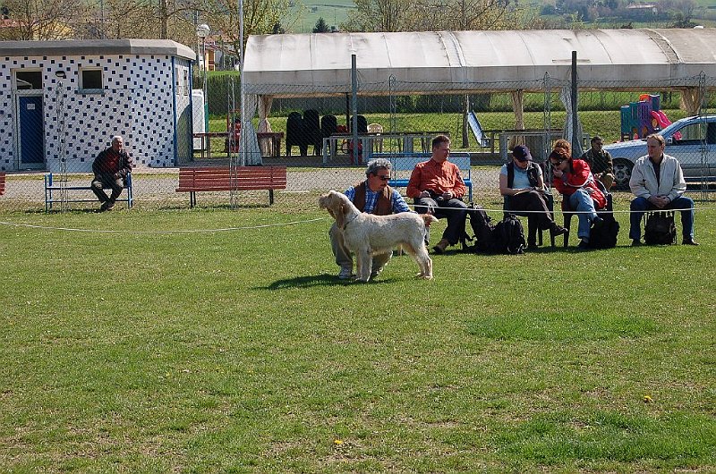 DSC_4682.JPG