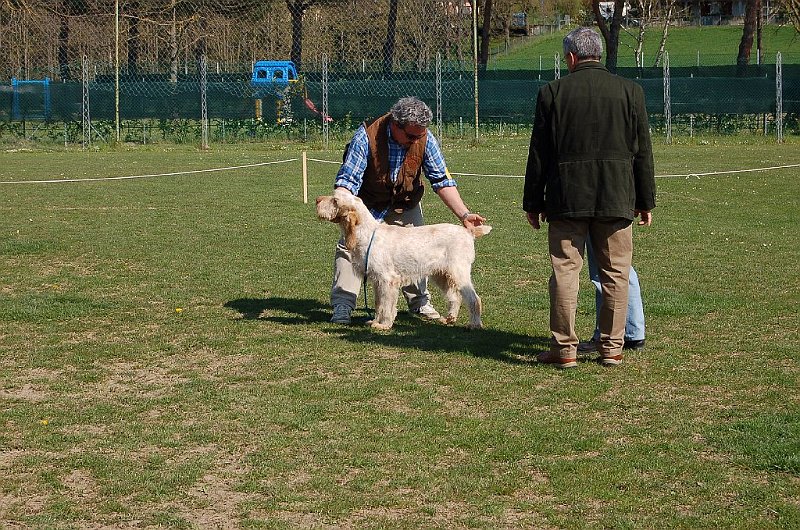 DSC_4684.JPG