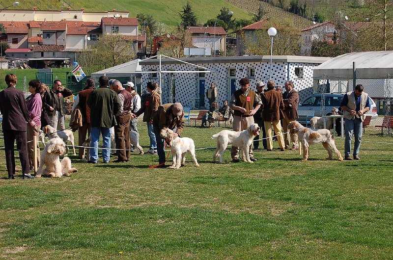 DSC_4687.JPG