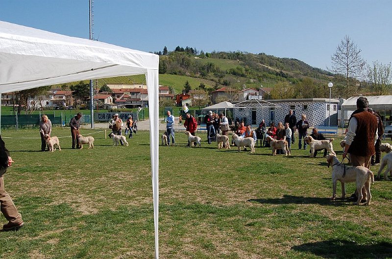DSC_4690.JPG