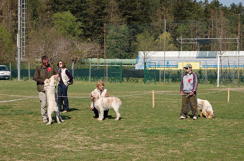 DSC_4693.JPG