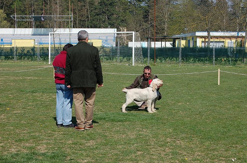 DSC_4695.JPG