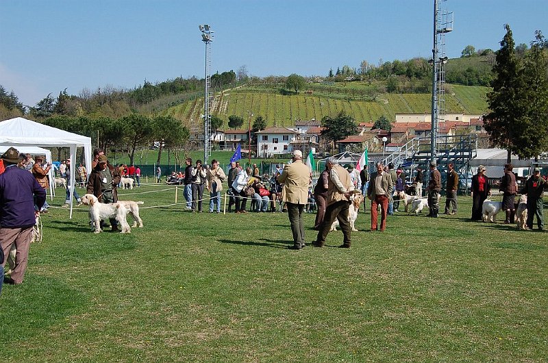 DSC_4697.JPG
