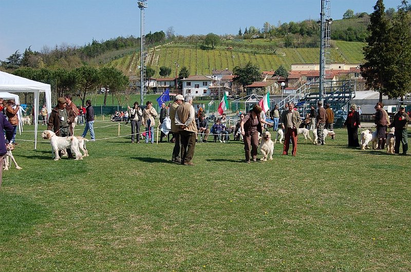 DSC_4698.JPG