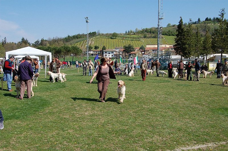 DSC_4699.JPG