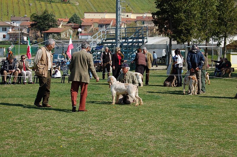 DSC_4700.JPG
