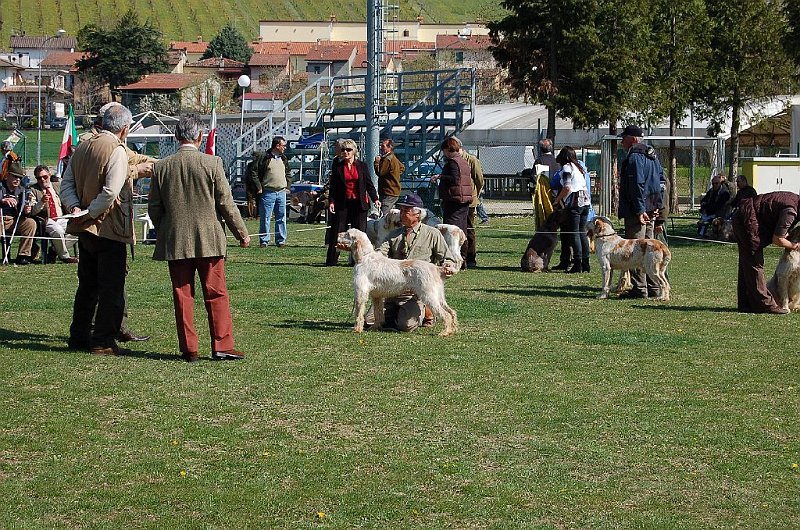 DSC_4702.JPG