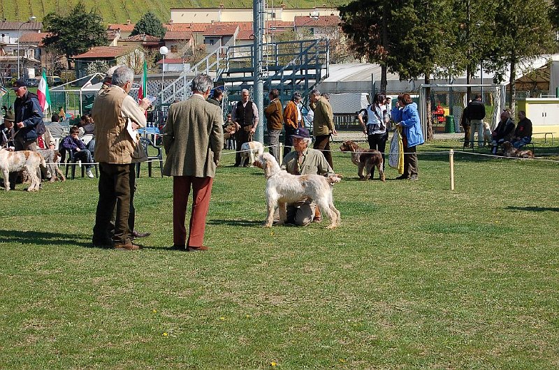 DSC_4704.JPG