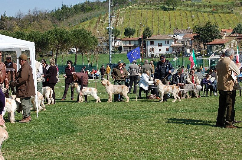 DSC_4705.JPG