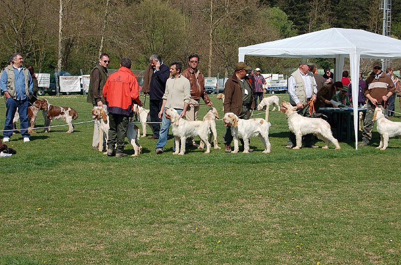 DSC_4710.JPG