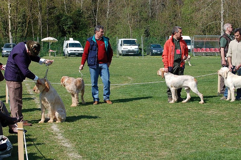 DSC_4713.JPG