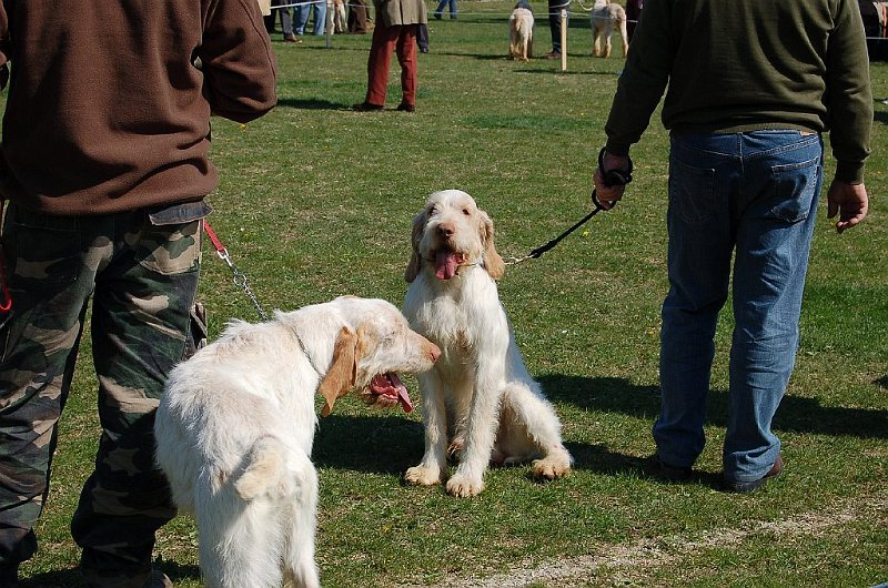 DSC_4718.JPG