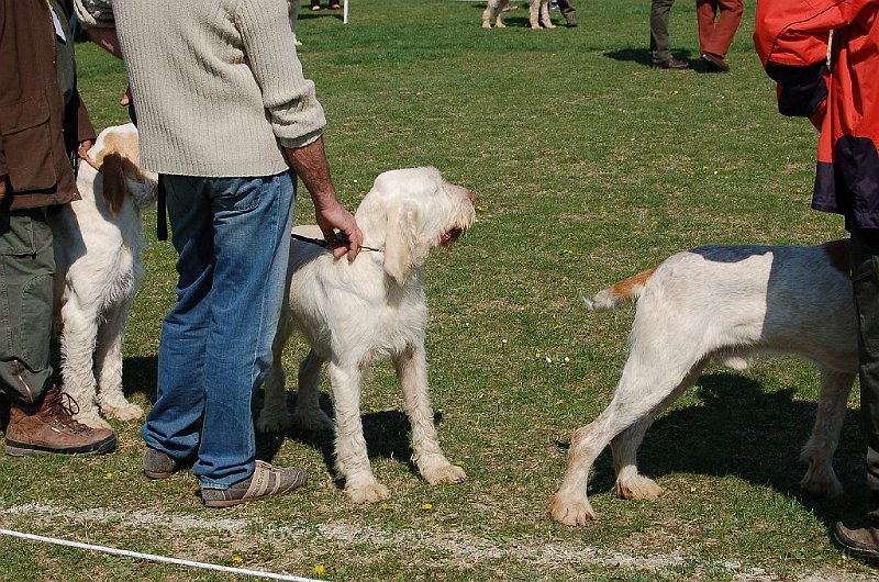 DSC_4722.JPG