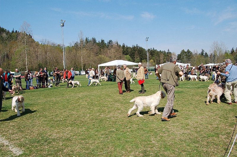 DSC_4731.JPG