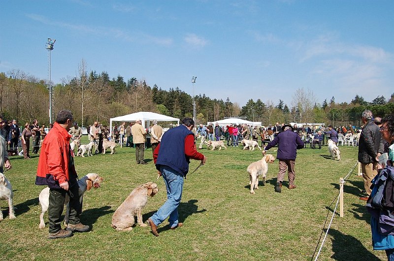 DSC_4735.JPG