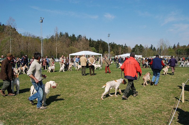 DSC_4736.JPG