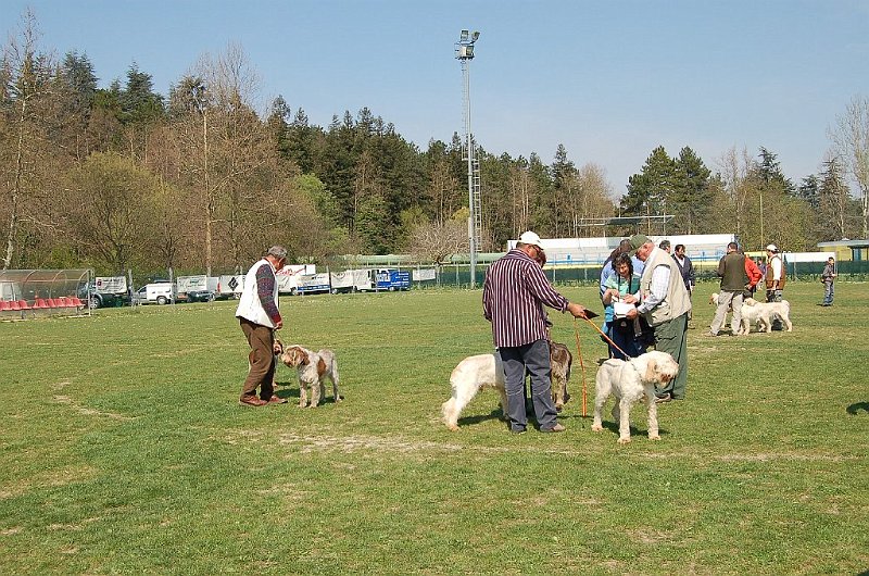 DSC_4768.JPG