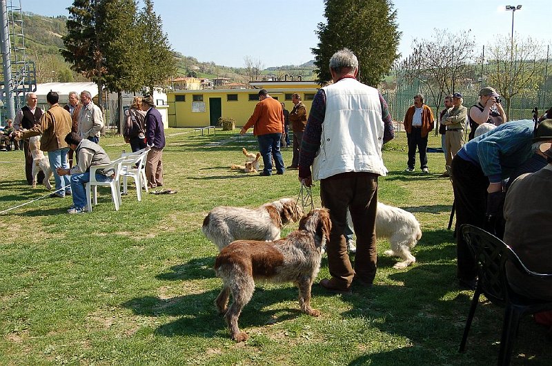DSC_4769.JPG