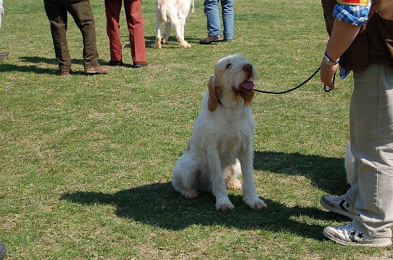 DSC_4775.JPG