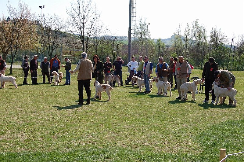DSC_4786.JPG