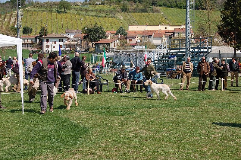 DSC_4788.JPG