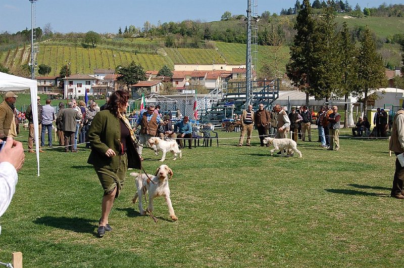 DSC_4792.JPG