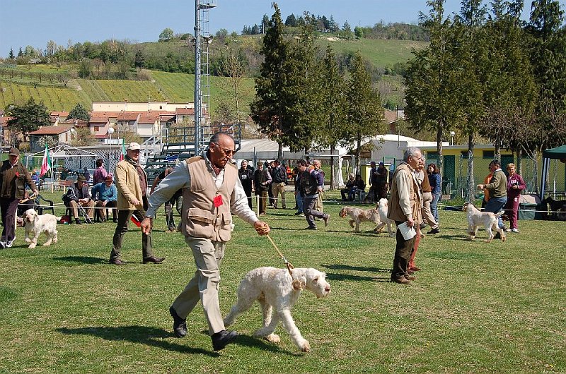 DSC_4794.JPG