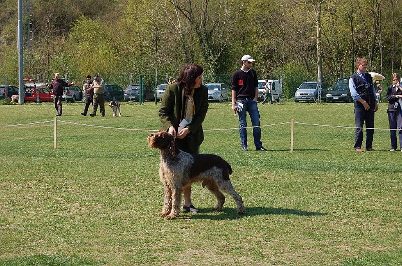 DSC_4812.JPG
