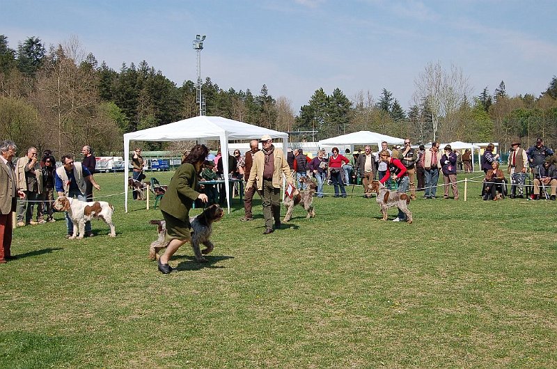 DSC_4833.JPG