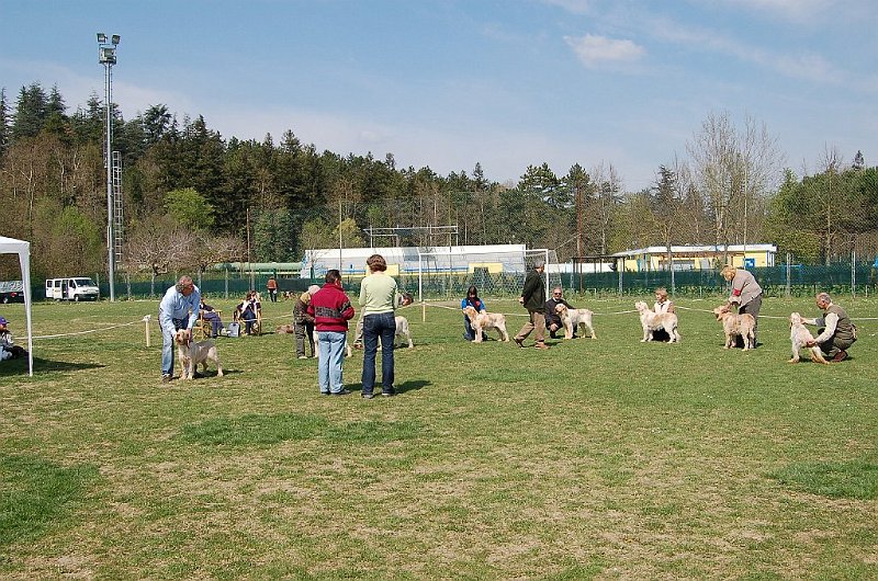 DSC_4837.JPG