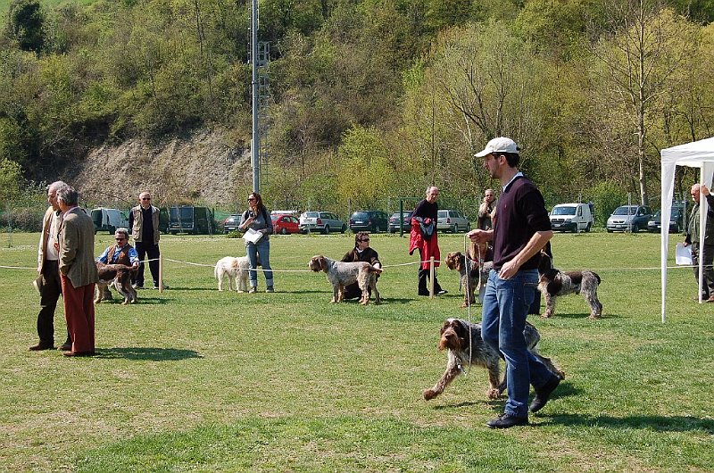 DSC_4850.JPG