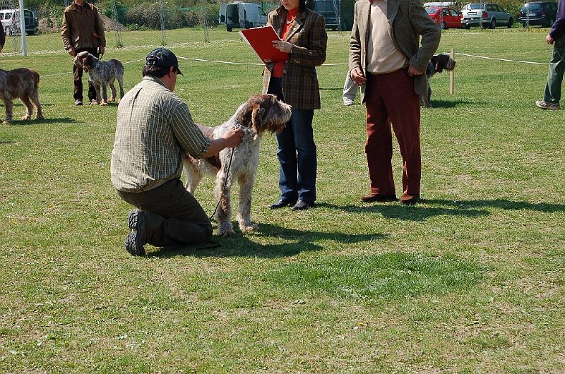 DSC_4856.JPG