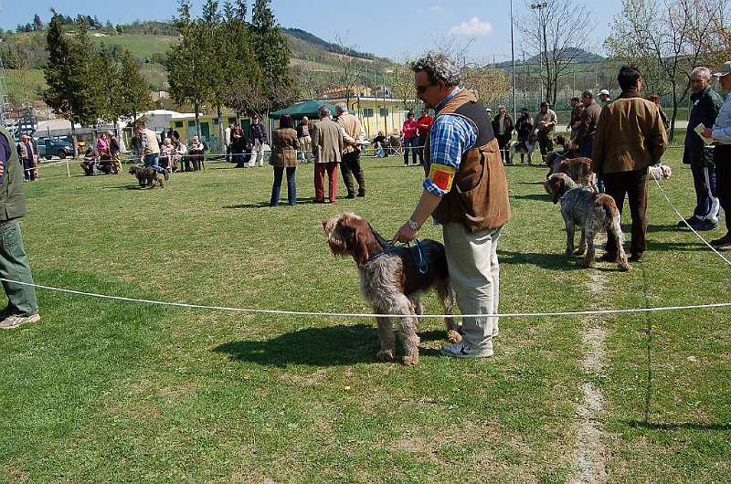 DSC_4870.JPG