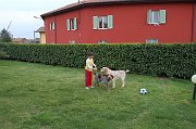 11_DSC_5458
