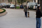 DSC_4653