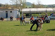 DSC_4679