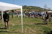 DSC_4691