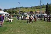 DSC_4697