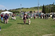 DSC_4699