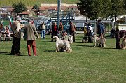 DSC_4702